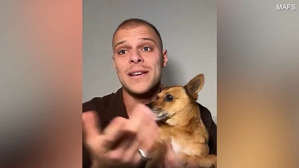 Awkward moment Domenica's ex tells her he's finally found love during interview