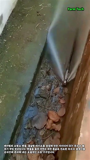 고압 세척기로 배수로 낙엽과 이물질 제거하기 #worker #process #cleaning #pressurewashing #drainage
