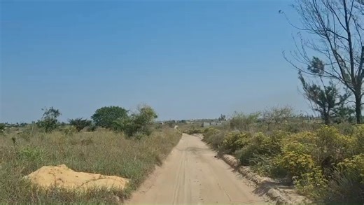 Tv Sucesso Moz on Instagram: "POPULAÇÃO DA PRAIA DE BILENE DENUNCIA AUMENTO DE PICADAS DE COBRAS E ESCORPIÕES DEVIDO AO ABANDONO DE TERRENOS Moradores de dez bairros de expansão de Bilene, em Gaza, manifestam crescente preocupação com o aumento de picadas de cobras e escorpiões, um problema atribuído ao abandono de terrenos parcelados entregues a cerca de 10 mil cidadãos. Em resposta à situação, o Conselho Autárquico da Praia de Bilene, estabeleceu um prazo de sessenta dias, para que os propriet