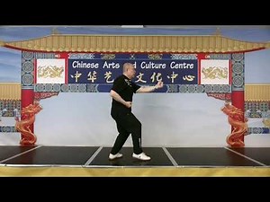 Xing Yi Quan 5 elements linking fists step by step demo