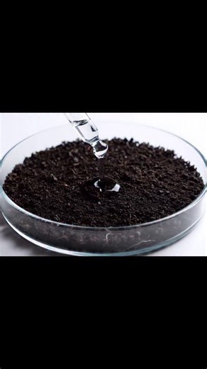 🌸🌻 Pick your favorite national flower 🌹🌺 Part 3 #flowers #plants #asmr #fyp #nation #country #garden #satifying #oddlysatisfying #grow #gardening #love #nationalflower #culture #pretty | Sonic Satisfy AI