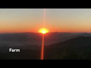 中国 雲南省 スペシャルティコーヒーを育てる農家さん