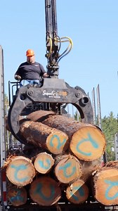 544 reactions · 48 shares | Woodmen’s Field Day highlights 蝹 | Fryeburg Fair | Facebook