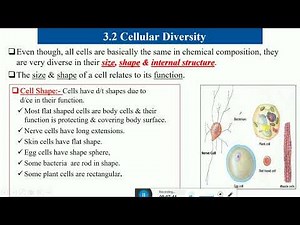 General biology and remedial chapter three cellular basis of life.episode 1