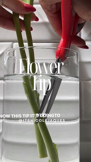 Nicole Jaques | Low Tox Living + Cleaning + Kitchen Tips on Instagram: "Did you know this fresh flower tip? 🤯 Comment “FLOWER” and I’ll send you my DIY flower food recipe. This technique plus the flower food will keep your blooms going for weeks. Why cut the stems under water? The reason for this is because when the stem is cut, the flower’s roots immediately loses access to water. As air flows through the stem, an air pocket or embolism occurs, preventing the absorption of water. Cutting under