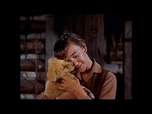 Opening to "The Best of the Mickey Mouse Club" 2005 DVD