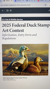 Just wait til you see my submission to the Federal Duck Stamp competition! Wish me good luck? | Tommy Siegel