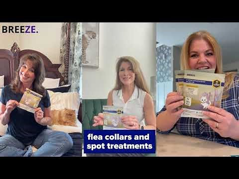 Say Goodbye to Itchy Cats with Breeze Pure-Shield!