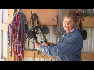 Harnessing a Team of Horses with Merry Teiken