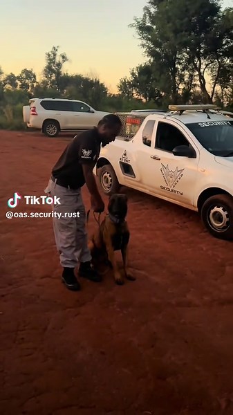 a Quick “Sunset” Lowlight K9 handover… #k9 #k9training #outdoorarena #Rustenburg #malinois #fyp #viral