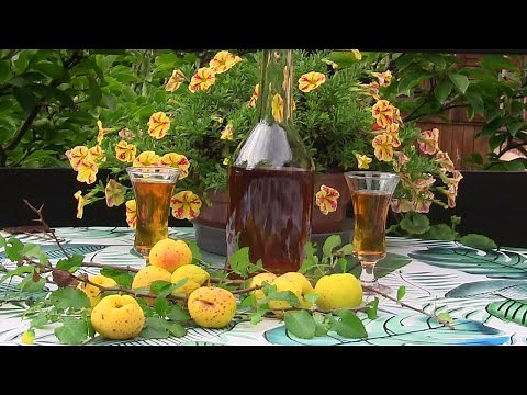 Classic quince fruit tincture