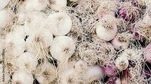 Garlic on market stall food backgrounds, panning on bunch of raw ingredient