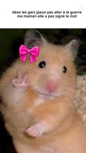 🥸☝️#faitespercer #pourtoi #anime #helpmemakethismakesense #edit #butifyoucloseyoureyes #fypシ #humour