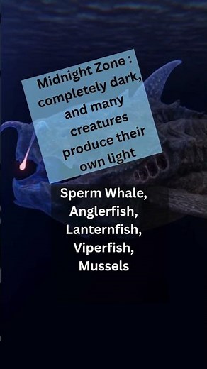 🌊 The 5 Hidden Layers of the Ocean You’ve Never Seen! | Deep Sea Secrets 🐋