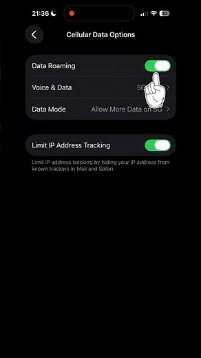 How to turn on Roaming on iphone
