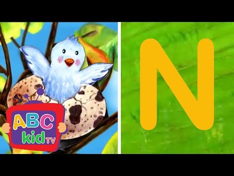 Learn the ABCs: "N" is for Newt! | ABCs for Kids | ABC Kid TV Nursery Rhymes & Kids Songs