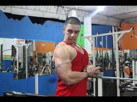 ? ENDOMORPHOS CORRECT ROUTINE IN THE GYM / ENDOMORPH ROUTINE