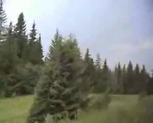 Vereckei hágó-Honfoglalás