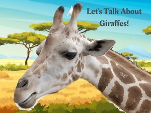 Giraffe!