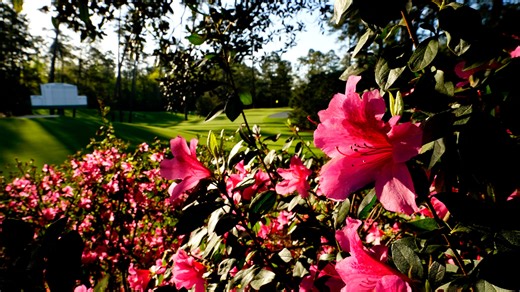 Get a 'Masters' worthy lawn in Augusta this spring with these tips