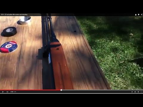 B3-1 .22 cal pellet rifle review and shooting.