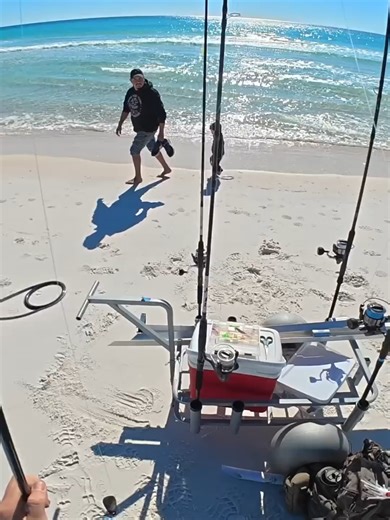 Catch Fish Off the Beach: A Guide for Tourists