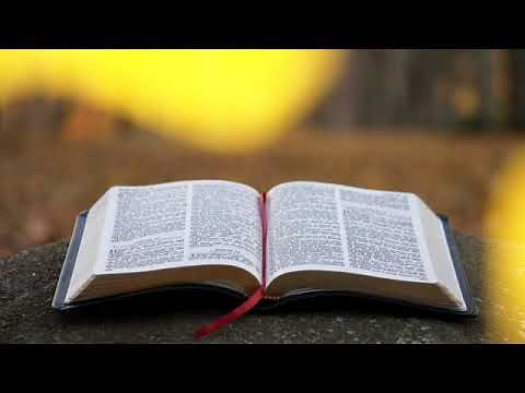 Biblia Hermoso fondo para videos cristianos gratis suscríbete para más vídeos de fondos