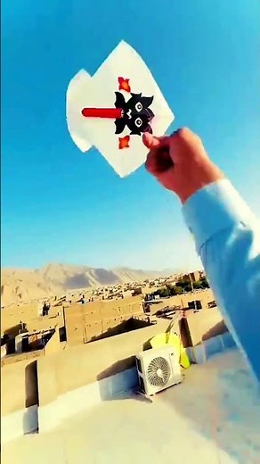 Amazing Kite Videos