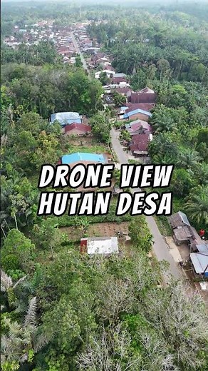Keindahan Hijau Hutan Desa dari Udara 🌿 | View Drone yang Menenangkan