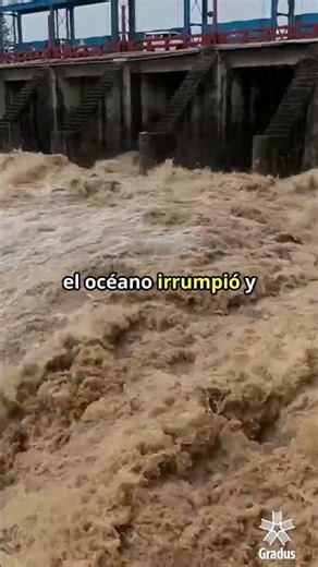 The biggest change on the planet happened without us 🌍 #gradus #science #earthhistory