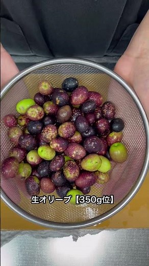 【重曹】でオリーブ🫒アク抜きするョ〜１日目〜 オリーブの塩漬けが出来るまで #shorts