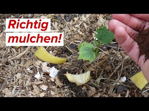 Why mulching your beds is so important! How to mulch properly! Are you mulching yet?