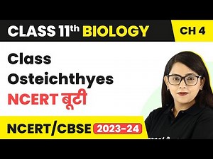 Class Osteichthyes - Animal Kingdom | Class 11 Biology Ch 4 | NCERT/NEET