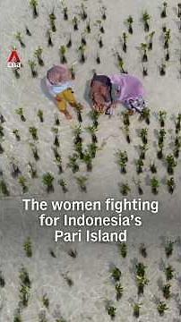 The women fighting for Indonesia’s Pari Island