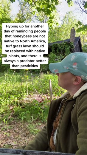 Supporting Local Wildlife: Native Plant Gardening Tips