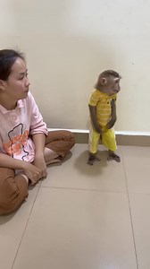 374K views · 2.9K reactions | Super Clever Monkey Jacky #babymonkey | Monkey vdo | Facebook