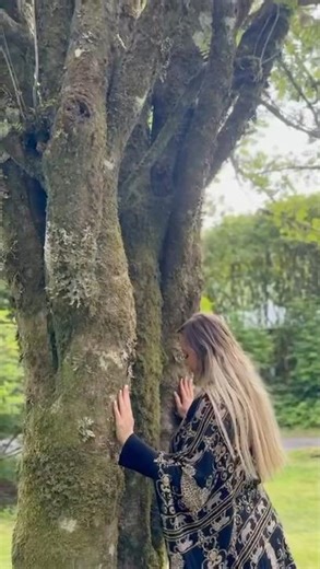 How to open advanced libraries of light around the world ✨