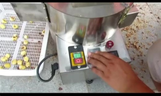 Découvrez TOPNOTCH 220V Machine À Décortiquer Les Châtaignes Robot De Cuisine Visuel Automatique À Contrôle Intelligent en Action | Exclusivité sur DHgate