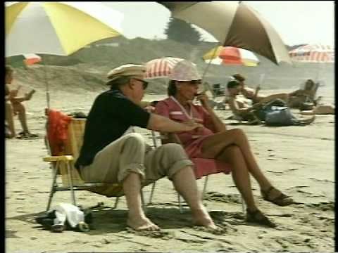 Beagle Music Ltd. - Like Ice in the Sunshine