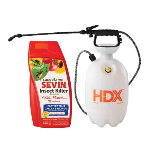 2 Gallon Pump Sprayer and 16 oz Insect Killer Concentrate Combo - The Home Depot