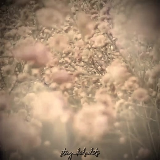 2024 já se iniciou,aqui temos um pouco das momentos que Skz nos proporcionou,foi maravilhoso. Te amo Skz 💓#skz2023 #skz2023worldtour #skz2023replay #bangchanedit #minhoskzedit #changbinedit #felix #seungmin #hyunjinedit #jeongin #straykidsworlddomination #skzhome🏠