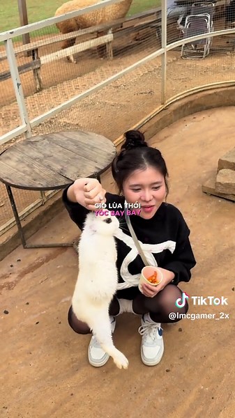 LMC Gamer và Minboo: Trò Chơi Hôn Môi