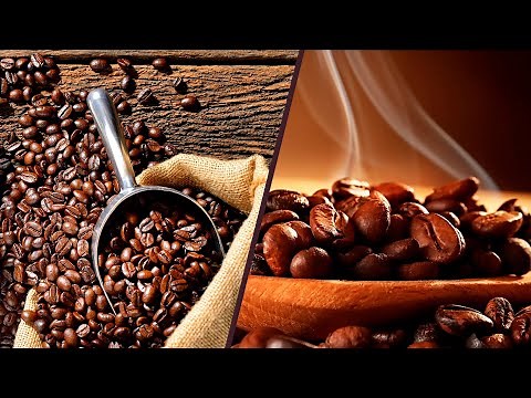 Arabica vs Robusta Coffee Beans: The Ultimate Guide
