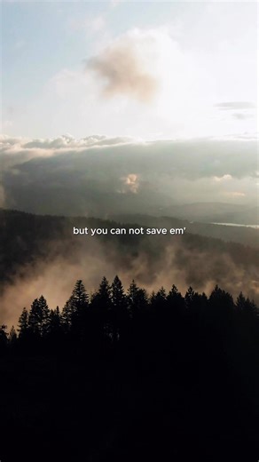 i need you to hear me… | Sik World