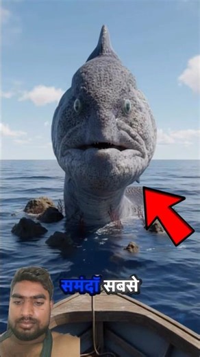 Top 5 Most Dangerous Sea Creatures 😱 #shorts #ytshorts