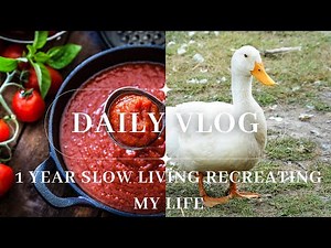 I Gave Myself One Year to Rebuild My Entire Life (and This Is Day One)