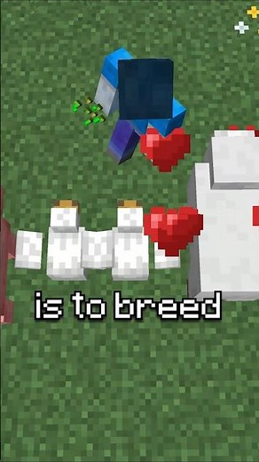 Minecraft Task Master Funny Moments