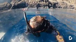 785K views · 2.3K reactions | SHARK WEEK 2020 starts today in Australia and New Zealand!!! See us in action today in the premier of "Great white serial killer extinction" on Discovery channel.... | Shark Diving Xperts | Facebook