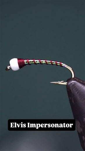 BC Flyguys on Instagram: "Elvis Impersonator🙌🏻 - This one is a simple take on a proven attractor style chironomid from @jhn.knt he calls Elvis. We swap out the micro tubing rib for thread so it’s a pretty easy to tie bug but don’t let the simplicity fool ya it certainly has its days when fish can’t resist it! - @daiichiff 1760 White Tungsten Bead @semperfli_flytying Claret 8/0 Opal Mirage Tinsel Your favourite glue or resin - - - #flytying #troutflies #chironomid #midge #buzzer #bobberdown #fi