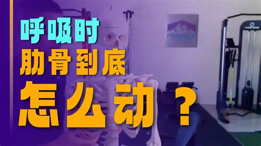 上半身生物力学演示-UpperBodyBiomechanicsPresentation